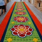 Elche de la Sierra: Las alfombras de Serrín
