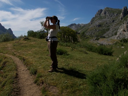 ASTURIAS OBSERVAORA