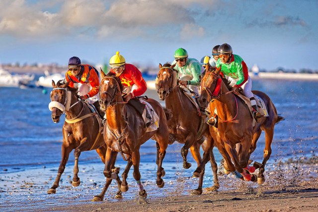 Carreras de caballos