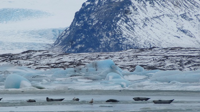 ISLANDIA