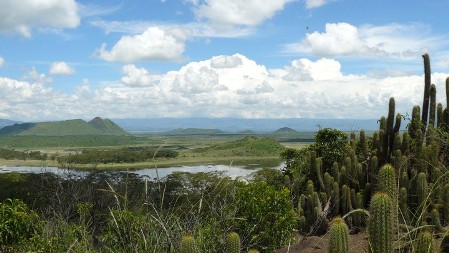 KENIA LagoElementeita_AnaPérez (1)