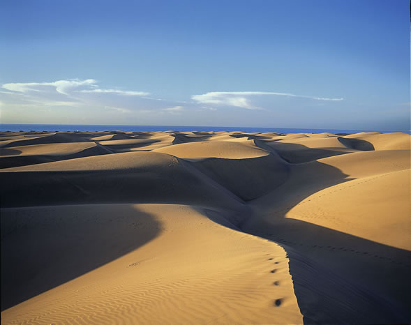 Las famosas dunas. 