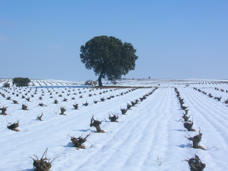 RUEDA NIEVE DSCN3431