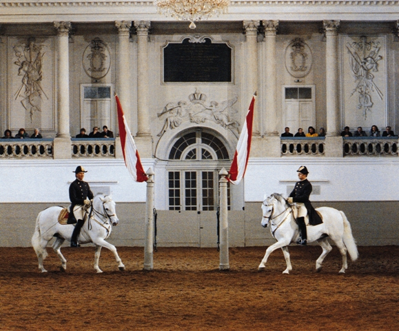 Escuela Española de Equitación de Viena (FotoWienTourismus / Spanische Hofreitschule / Herbert Graf)