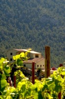 Hotel Heredad Mas Collet, paz y naturaleza en pleno Priorato catalán
