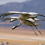 La provincia de Cáceres a vista de pájaro