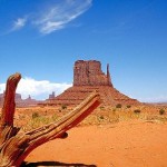 El Gran Cañón del Colorado: Una maravilla natural y salvaje.