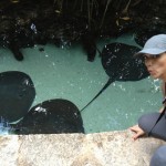 Beatriz Trapote: Mis aventuras en la Riviera Maya