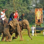 Tailandia: La Copa del Rey de Polo en Elefante,se celebra en Hua Hin
