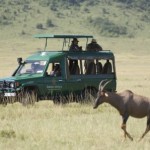 Serengeti, safari en el África ecuatorial