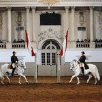 Escuela Española de Equitación de Viena (FotoWienTourismus / Spanische Hofreitschule / Herbert Graf)